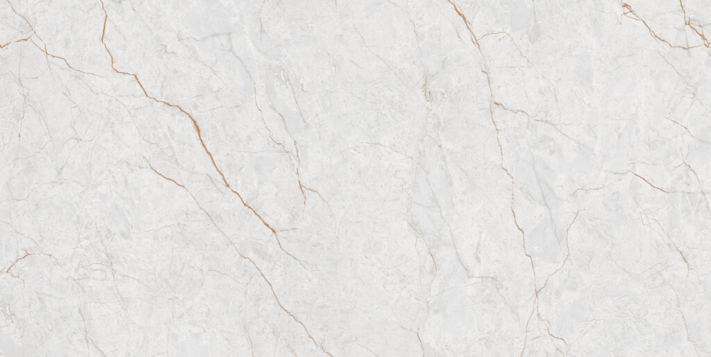 BOLIVIAN GREY