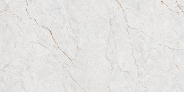 BOLIVIAN GREY