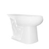 TAZA ADRIATICA ENTRADA SUPERIOR/TAPA ASIENTO ORQUIDEA